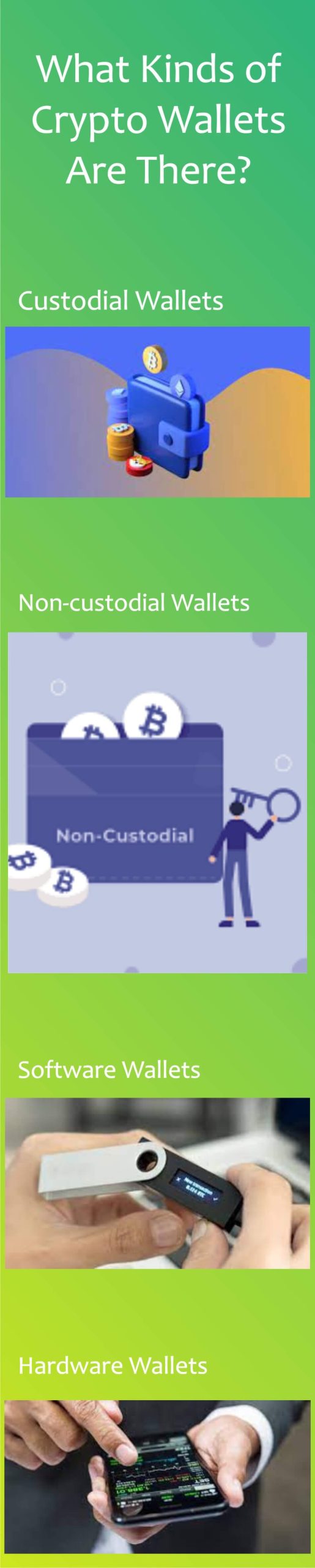 What Kinds of Crypto Wallets Are There